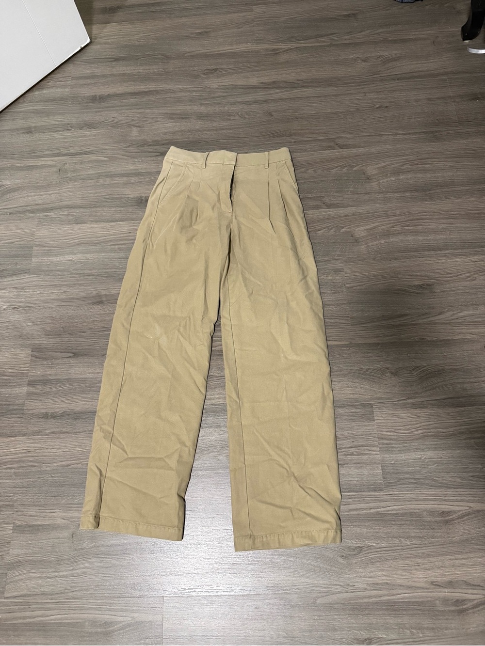 Aritzia Wilfred Dion Pant - Beige